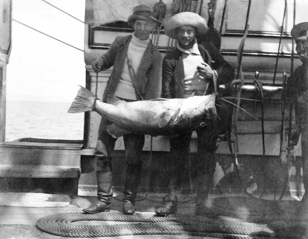 Detail of Two crew with large fish onboard HMS 'Penguin' (1876) by Willoughby Pudsey Dawson