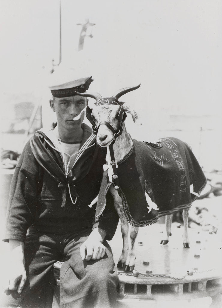 Detail of Goat mascot on board the HMS 'Irresistible' (1898) in Malta by unknown
