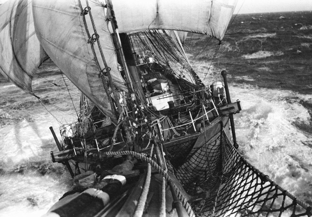 Detail of The 'Parma' (1902) by unknown
