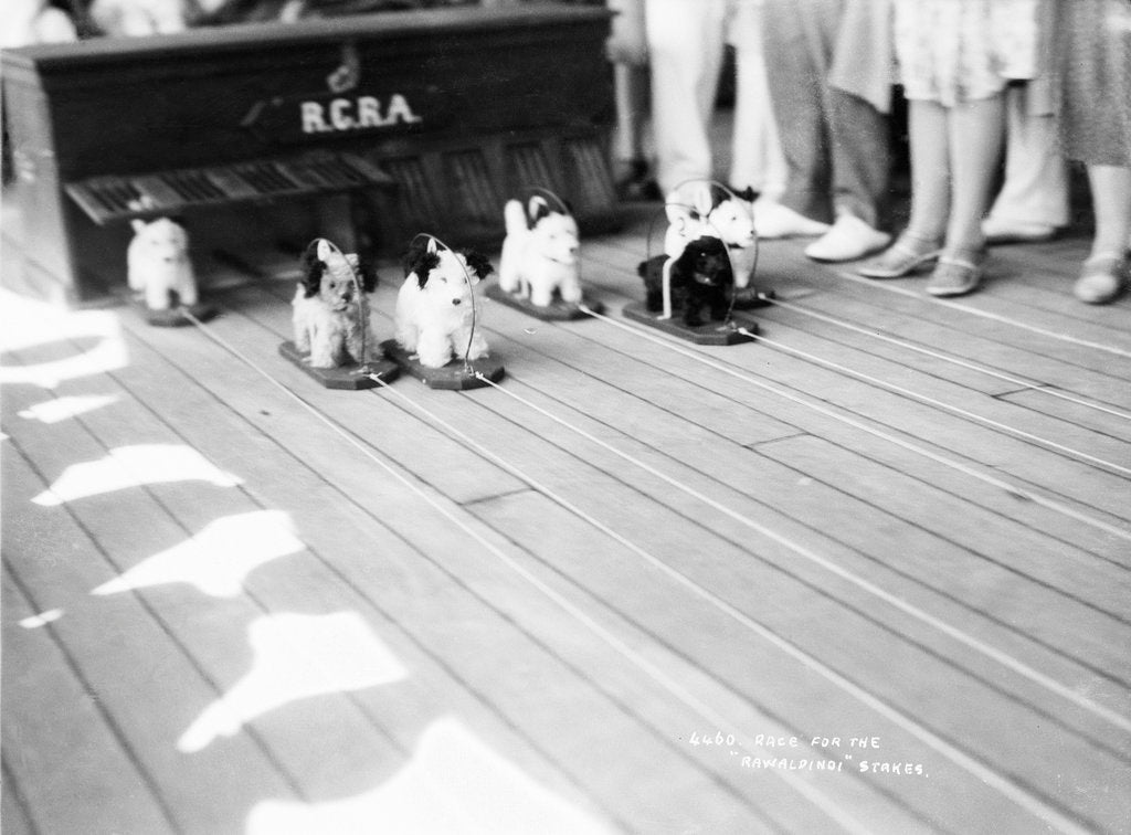 Detail of Dog racing aboard the 'Rawalpindi' by Marine Photo Service