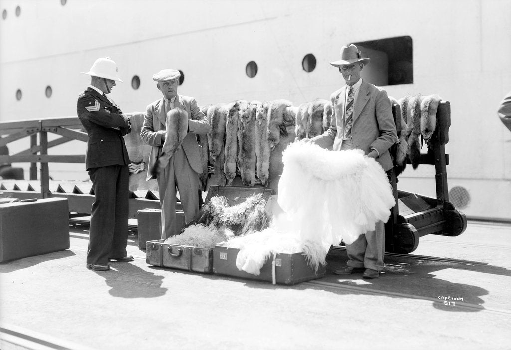 Detail of Stole and cape sellers, Cape Town, South Africa by Marine Photo Service