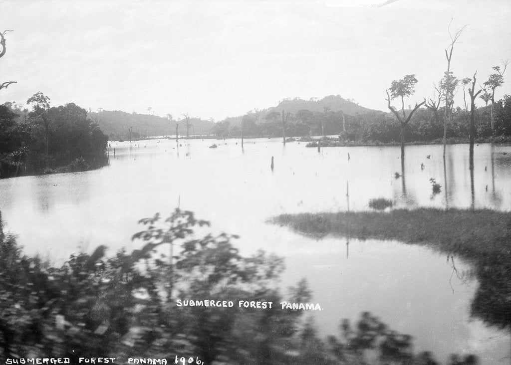 Detail of Panama Canal, Panama, 1935 by Marine Photo Service