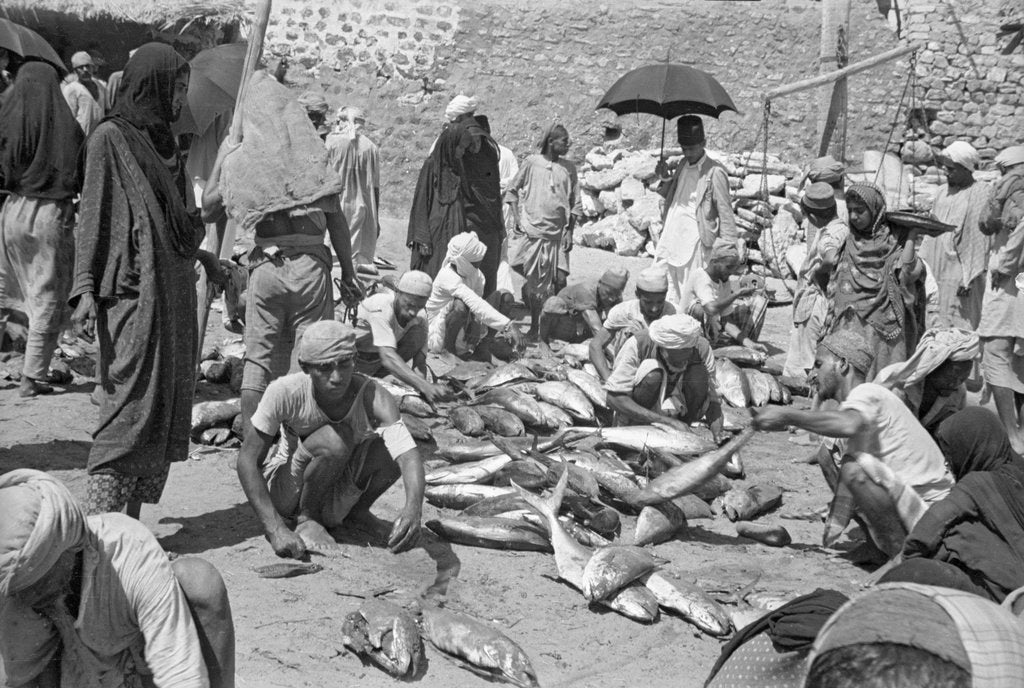 Detail of Fish being sold on the beach, Mutrah by Alan Villiers