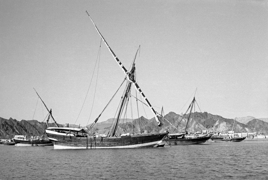 Detail of Indian dhows lying at anchor at Mutrah by Alan Villiers