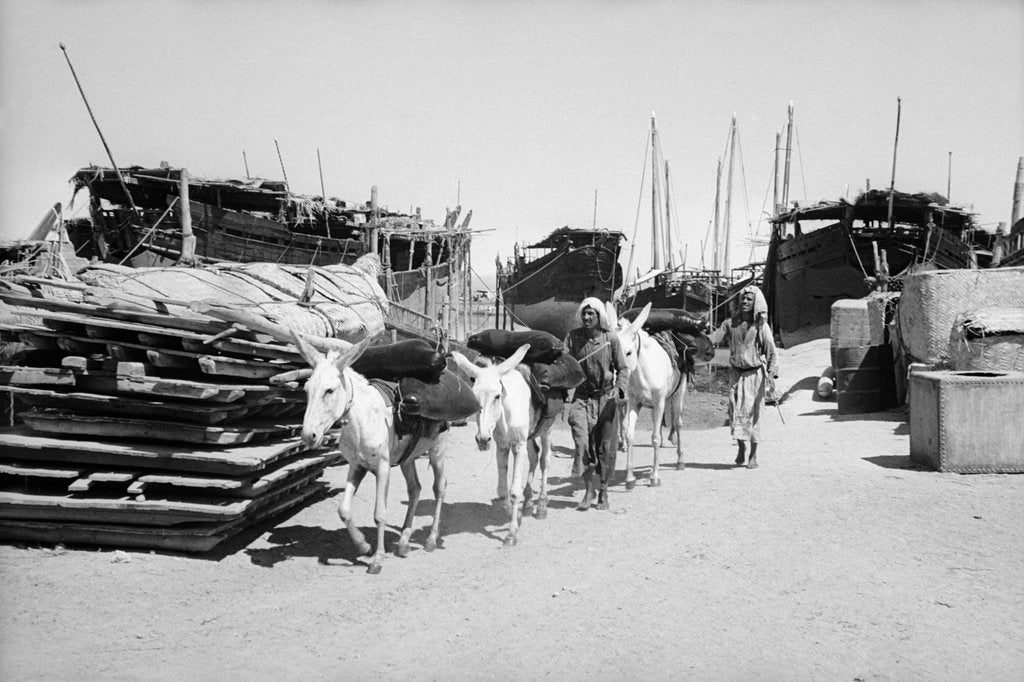 Detail of Water donkeys carry full goatskins into town by Alan Villiers