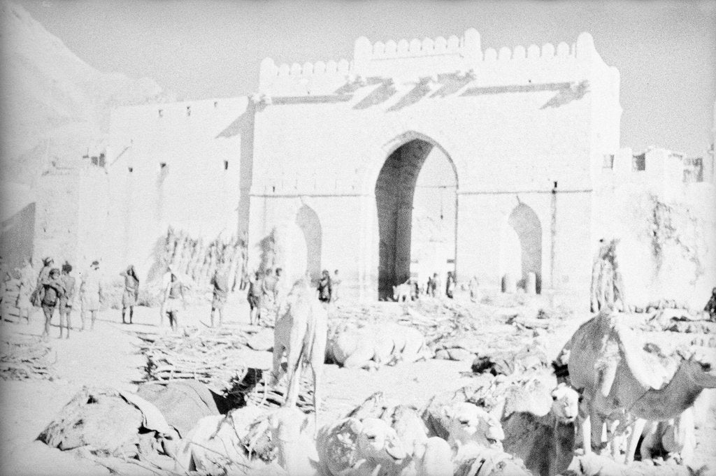 Detail of Mukalla West Gate camel park by Alan Villiers