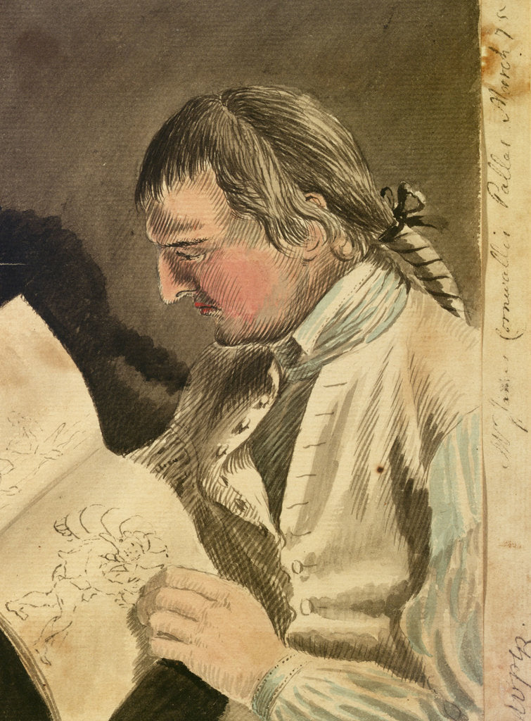 Detail of Mr James Cornwallis on board the 'Pallas', March 1775 by Gabriel Bray