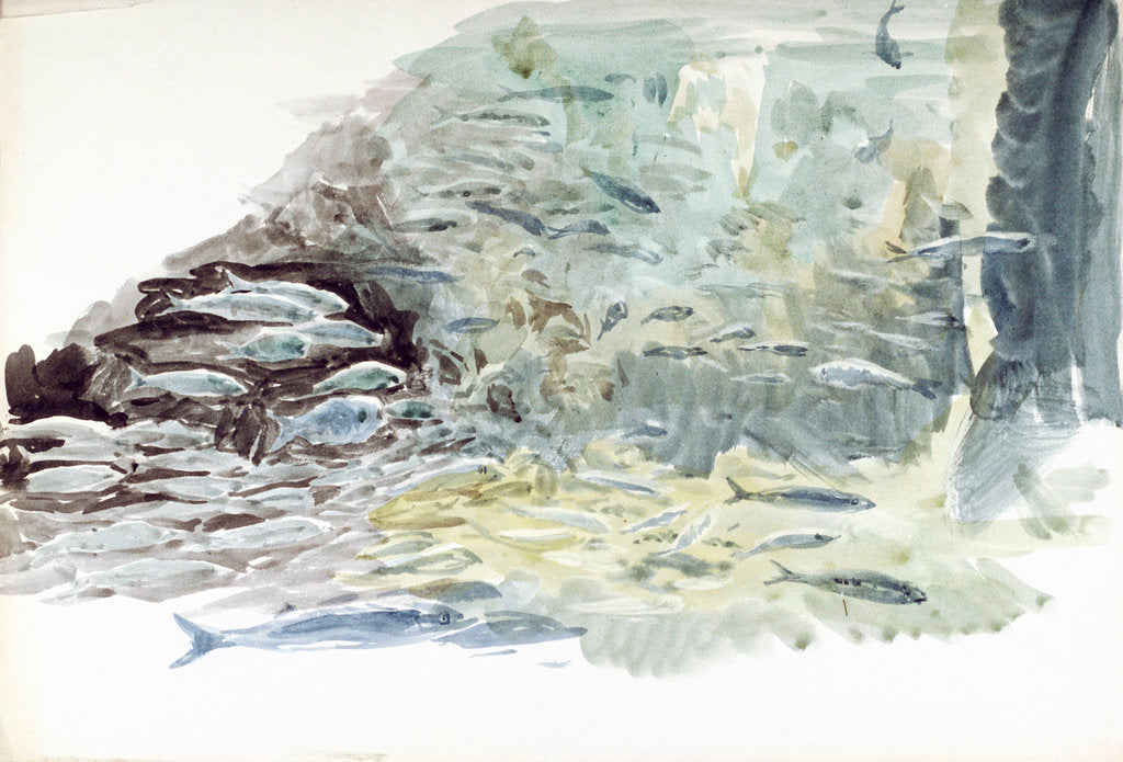 Detail of Underwater view of a shoal of fish by William Lionel Wyllie