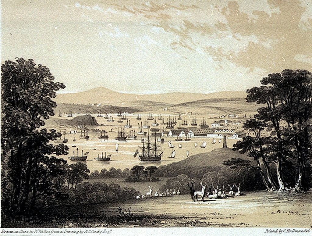 Detail of From the White Seat at Mount Edgcumbe Park Devonport. Views from the most picturesque parts of Mount Edgcumbe No.2 by Nicholas Matthew Condy
