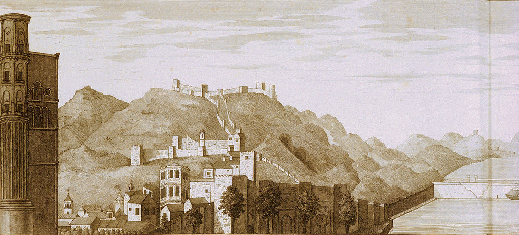 Detail of West view of the mole of Malaga seen from one of the towers of the cathedral by Francis Carter