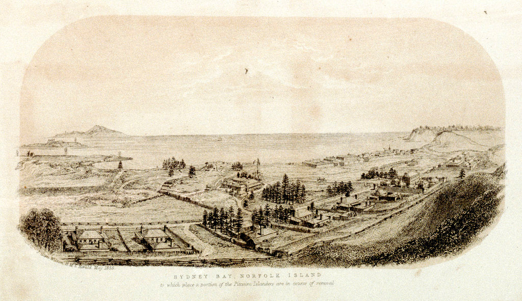 Detail of Sydney Bay, Norfolk Island to which place a portion of the Pitcairn Islanders are in course of removal by J. Glen Wilson