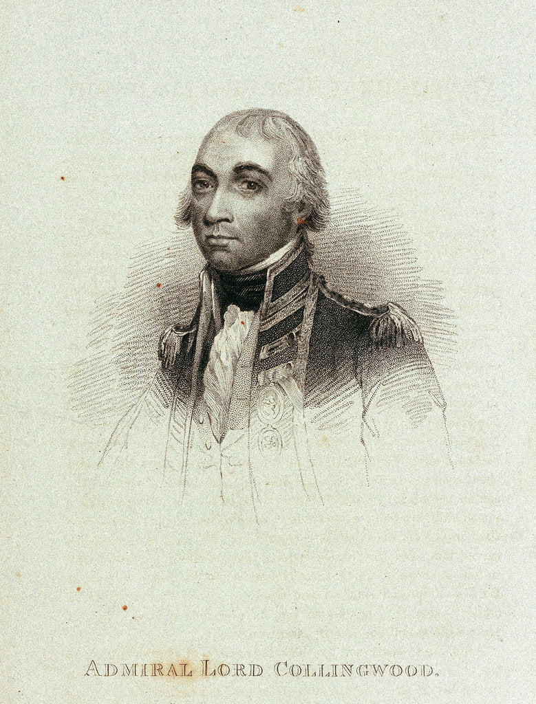 Detail of Admiral Lord Collingwood by unknown
