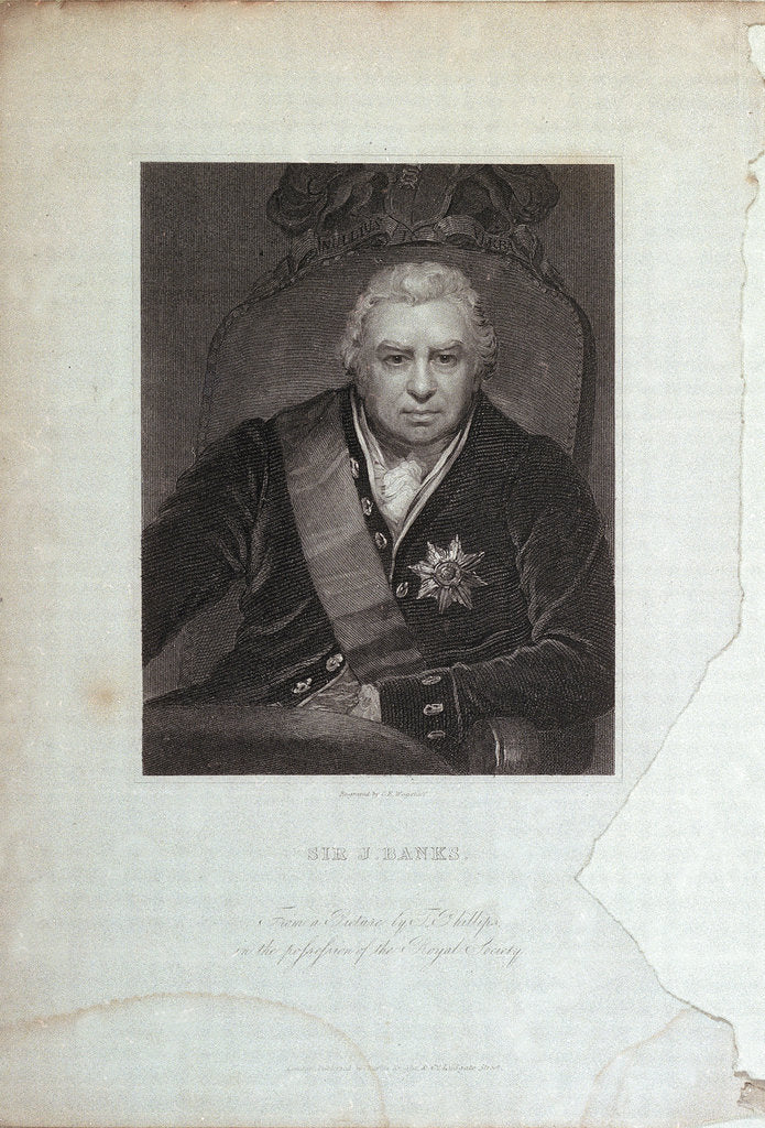 Detail of Sir J. Banks by Charles Eden Wagstaff