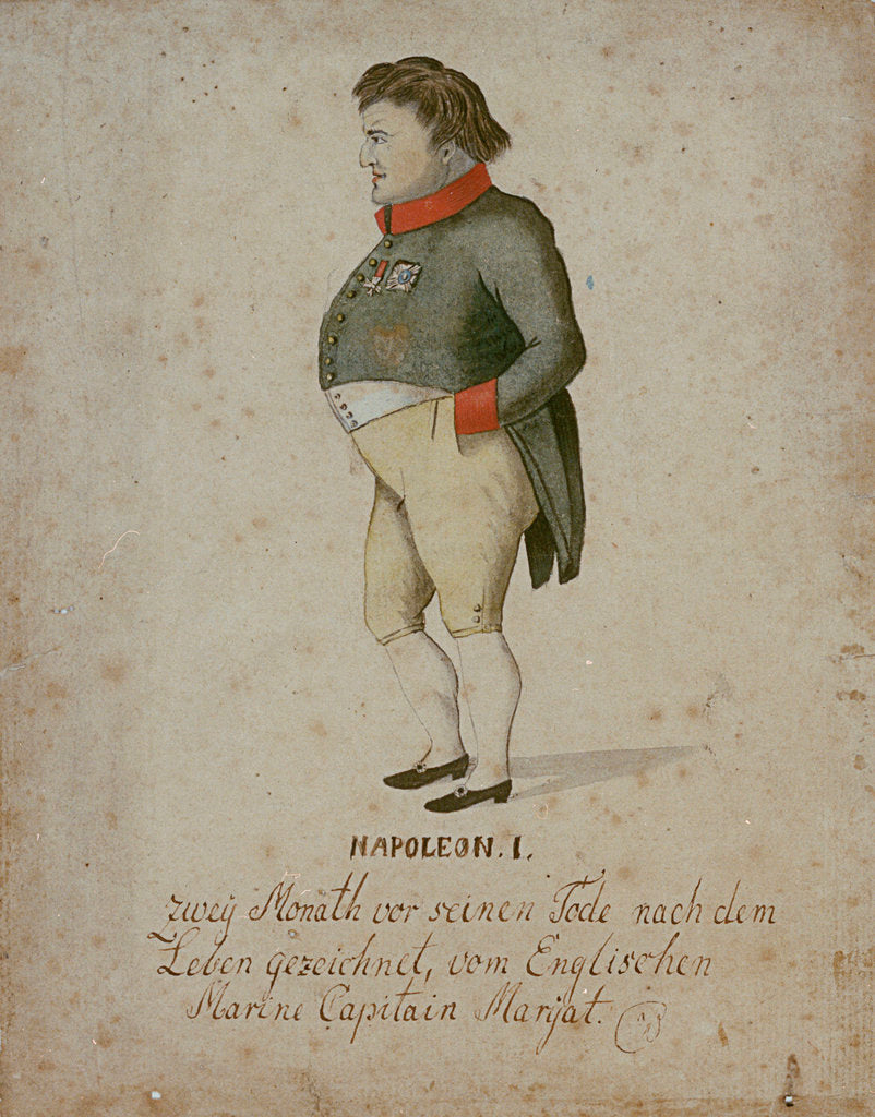 Detail of Napoleon Bonaparte by Frederick Marryat