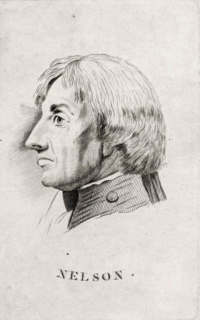 Detail of Horatio Nelson (1758-1805) by Simon de Koster