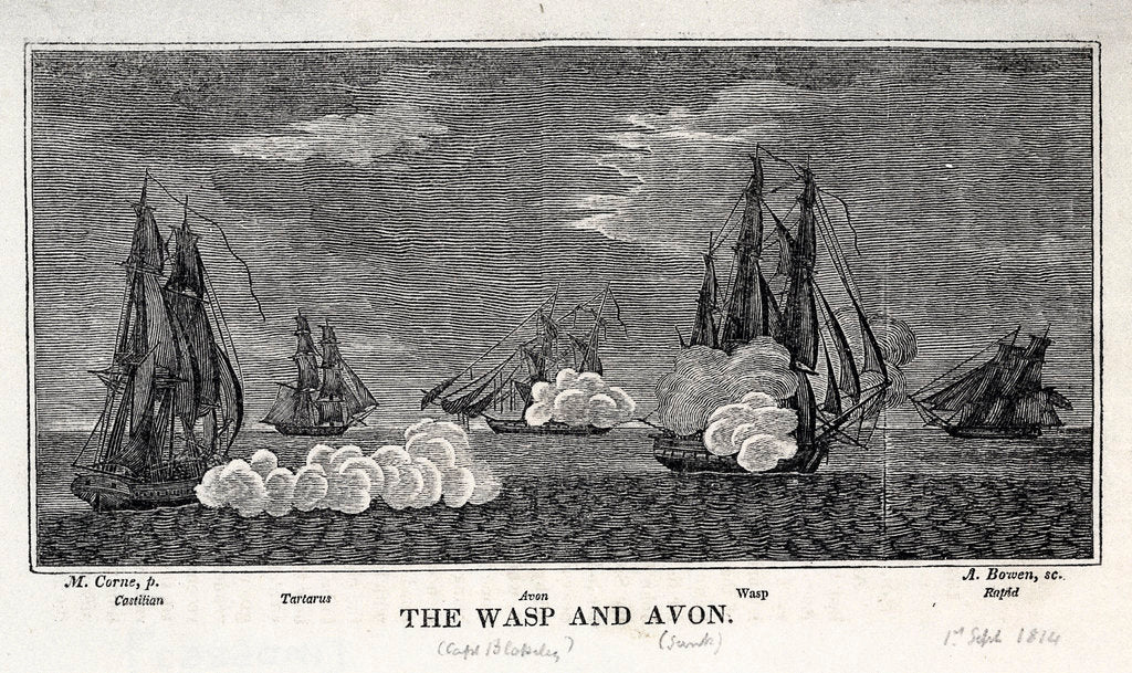 Detail of The 'Wasp' , 'Avon', 'Castilian', 'Tartarus' and 'Rapid' by Michaele Felice Corne