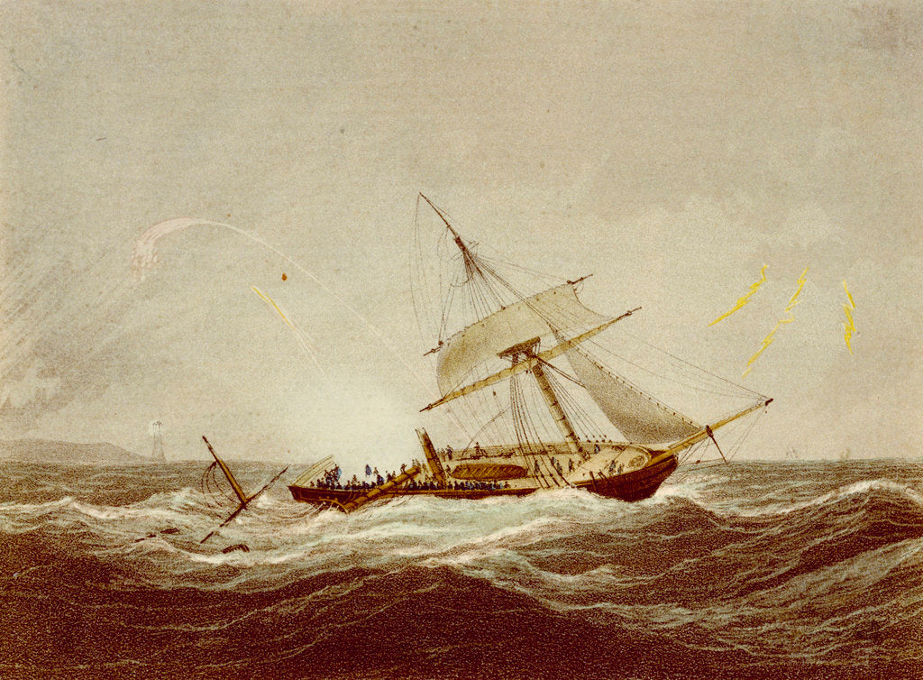 Detail of The 'Surinam' by Nicholas Matthew Condy