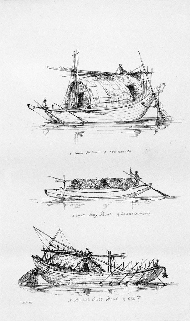 Detail of A Dacca Pulwar of 500 maunds by W. Purser