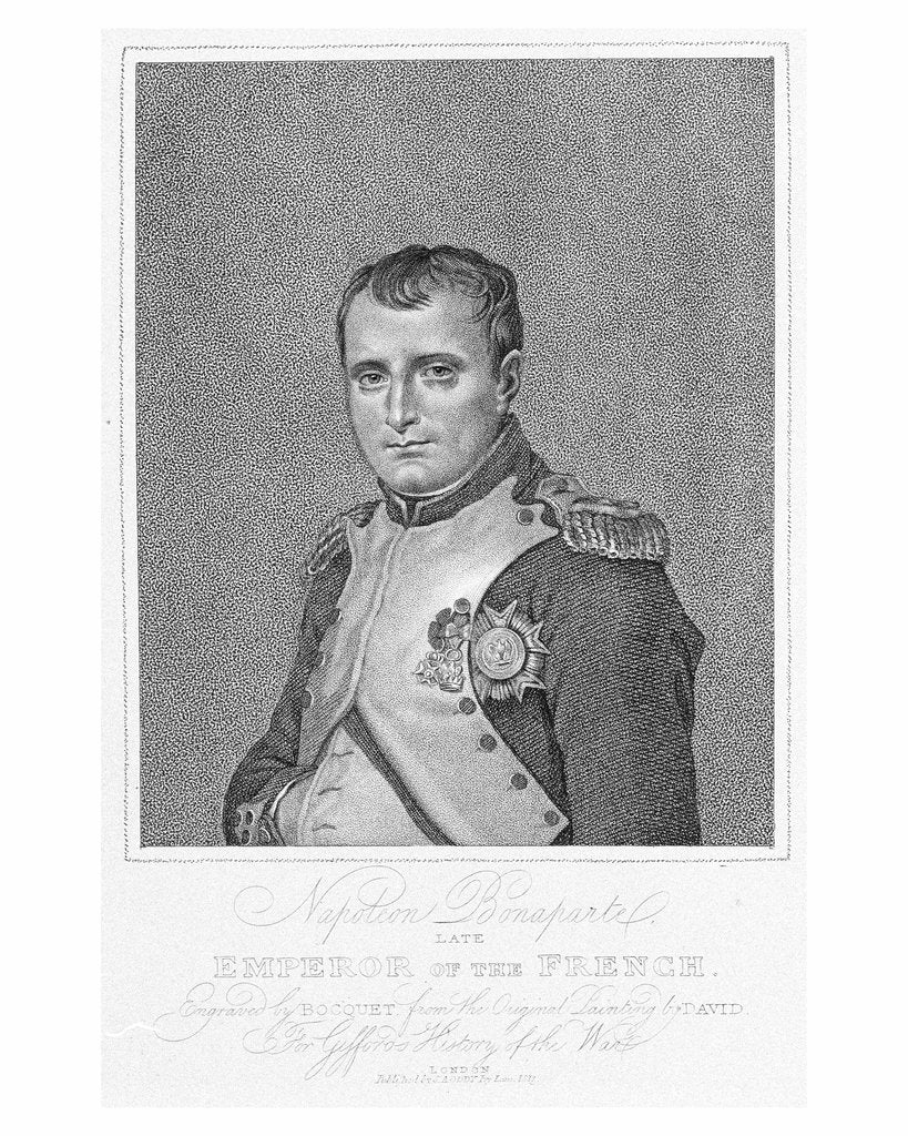 Detail of Napoleon Bonaparte by Jacques Louis David