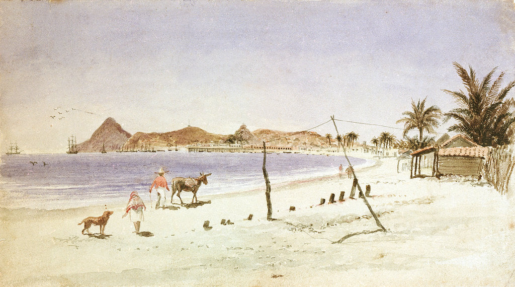 Detail of Bay Mazatlan, Mexico by Thomas Somerscales