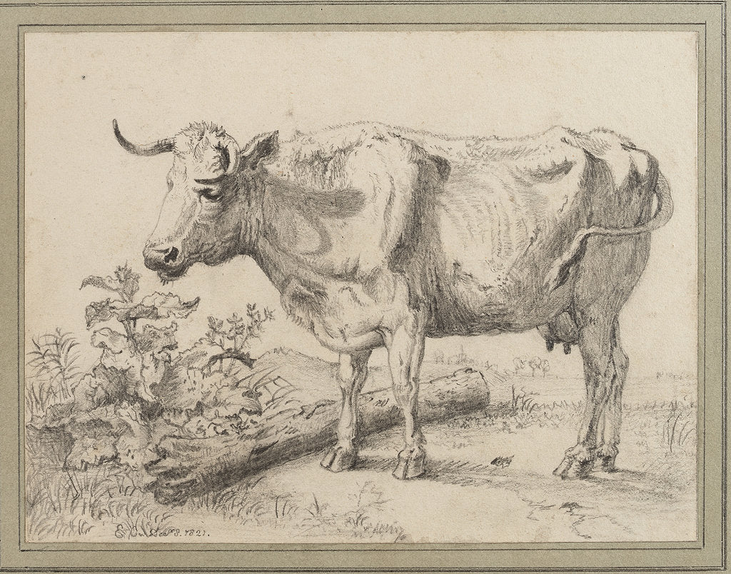 Detail of Study of a cow, after Paul Potter by Edward William Cooke