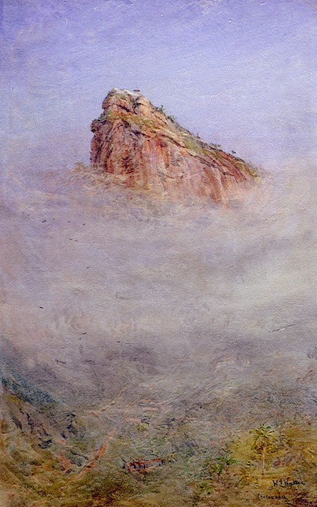 Detail of Corcovado by William Lionel Wyllie