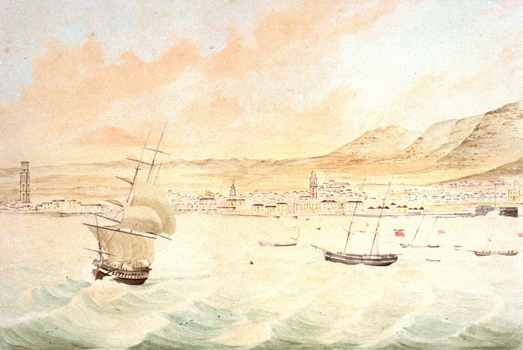 Detail of Santa Cruz in Tenerife by J. J. Williams