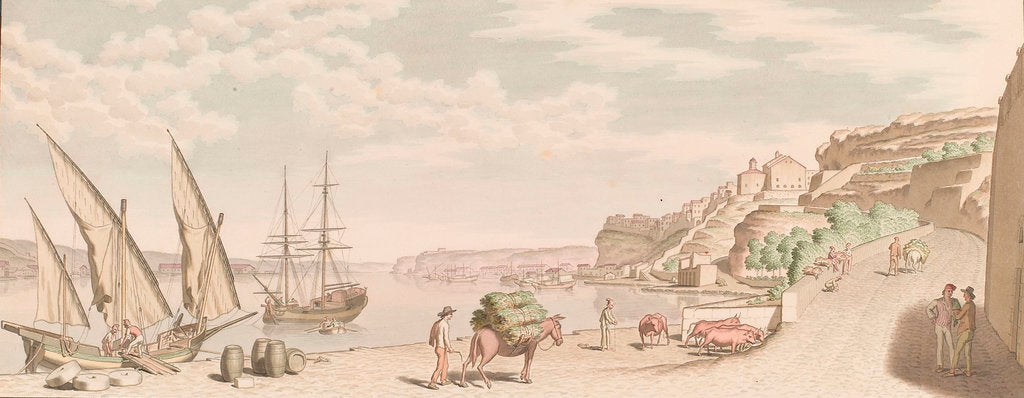 Detail of Mahon and the arsenal by unknown