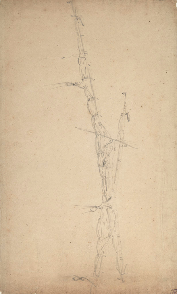 Detail of A study of two furled sails by Willem Van de Velde the Younger