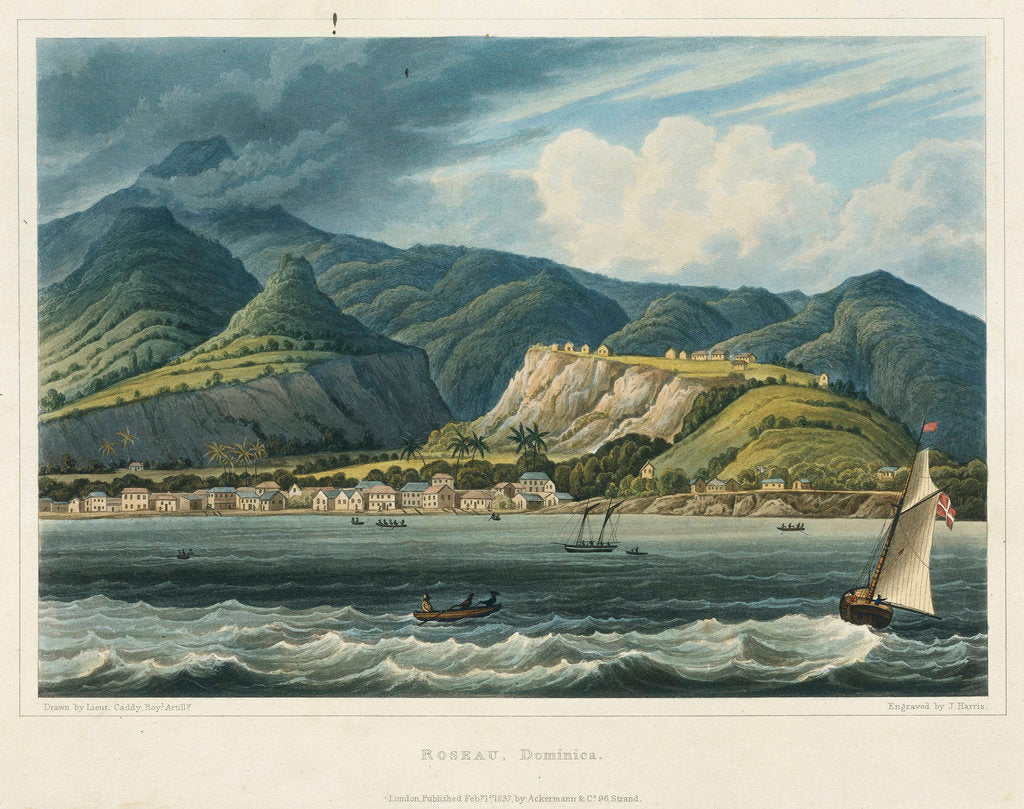 Detail of Roseau, Dominica by Caddy Caddy