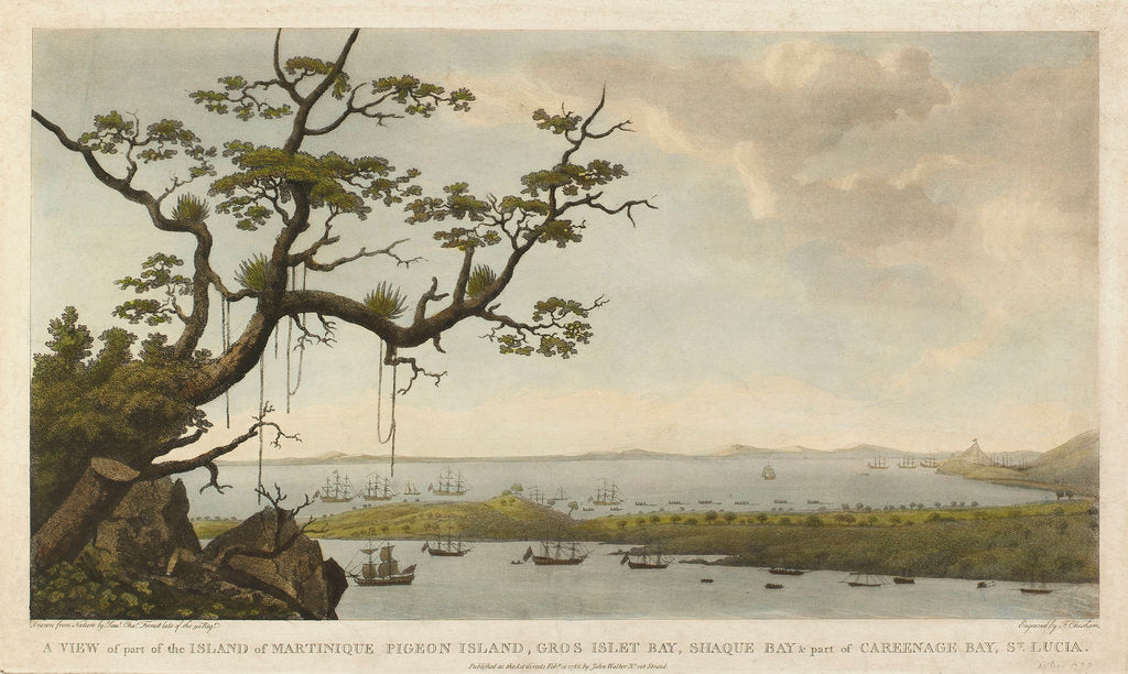 Detail of A view of part of the island of Martinique, Pigeon Island, Gros Islet Bay, Shaque Bay & part of Careenage Bay, St Lucia by Charles Forrest Forrest