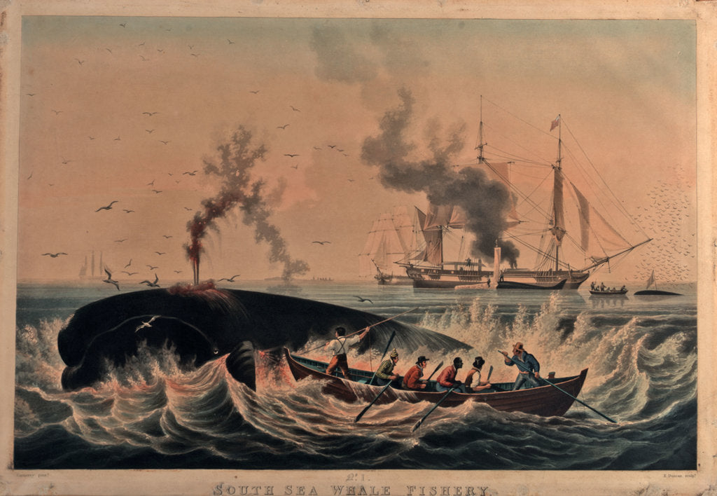 Detail of South Sea whale fishery by Ambroise Louis Garneray