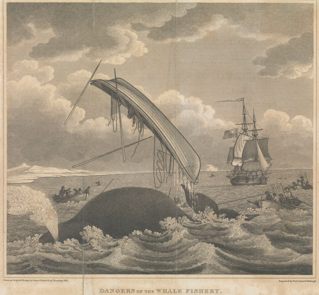 Detail of Frontispiece to 'Account of the Arctic Regions' by W Scoresby: Dangers of the Whale Fishery by William Horne Lizars