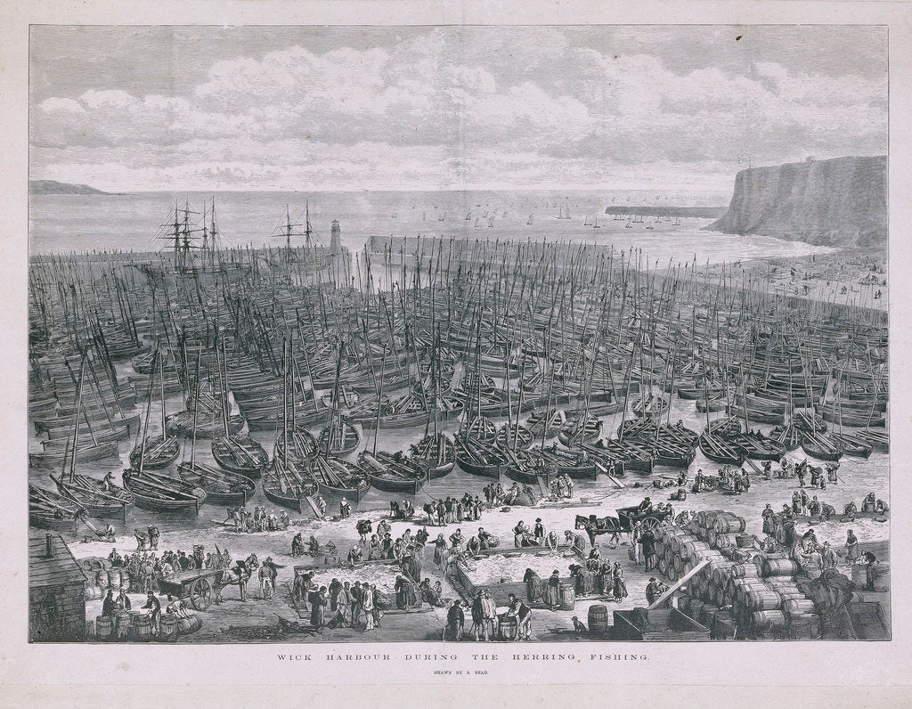 Detail of Wick harbour during the herring fishing by S. Read