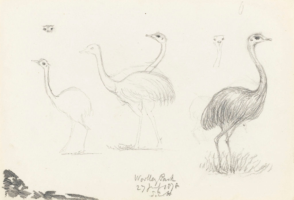 Detail of Wooley Park, 27 July 1878 by S.E. Hardcastle