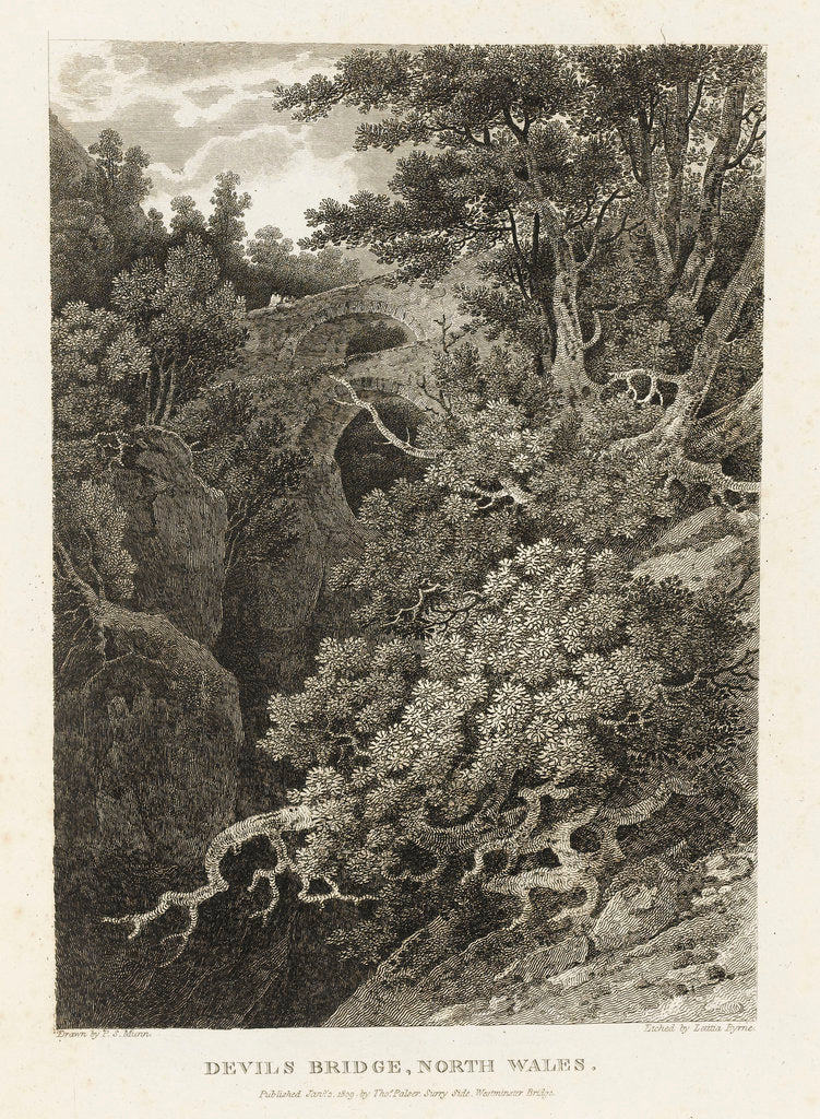 Detail of Devil's Bridge, North Wales by Paul Sandby Munn