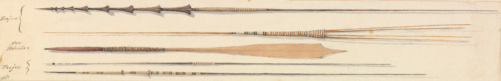 Detail of Spears from Feejee [Fiji] & New Hebrides by Edward Gennys Fanshawe