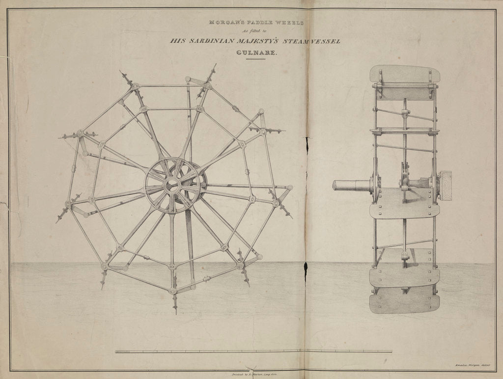 Detail of Morgan's Paddle Wheels as fitted to His Sardinian Majesty's steam vessel 'Gulnare by Amalia Morgan