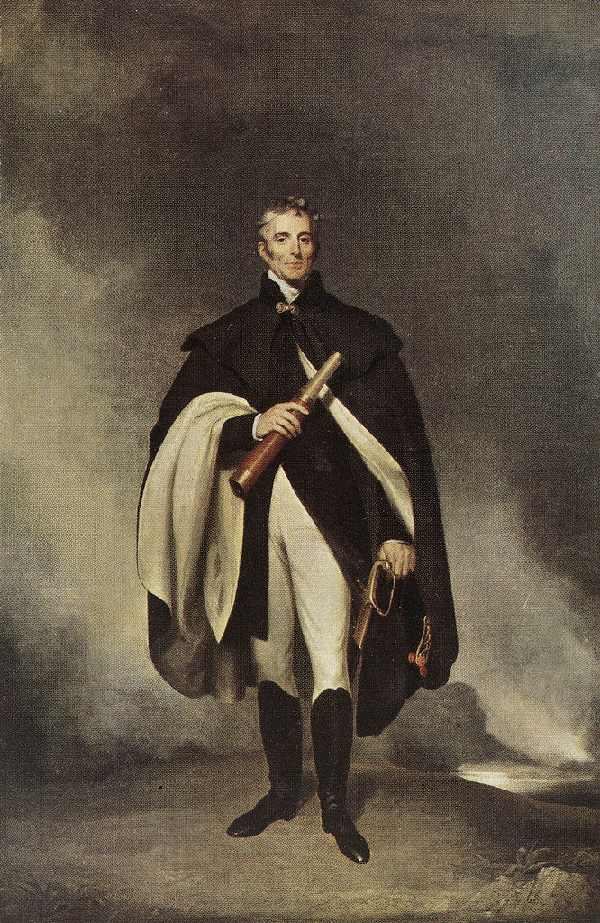 Detail of The Duke of Wellington K. G. by W. Robinson