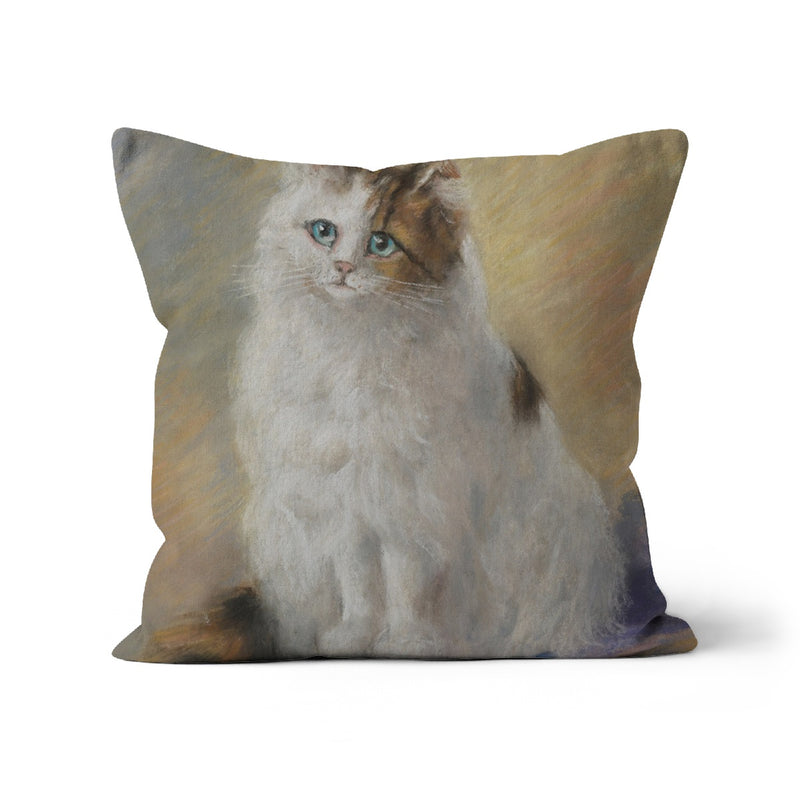 Cat mascot jimmy Cushion