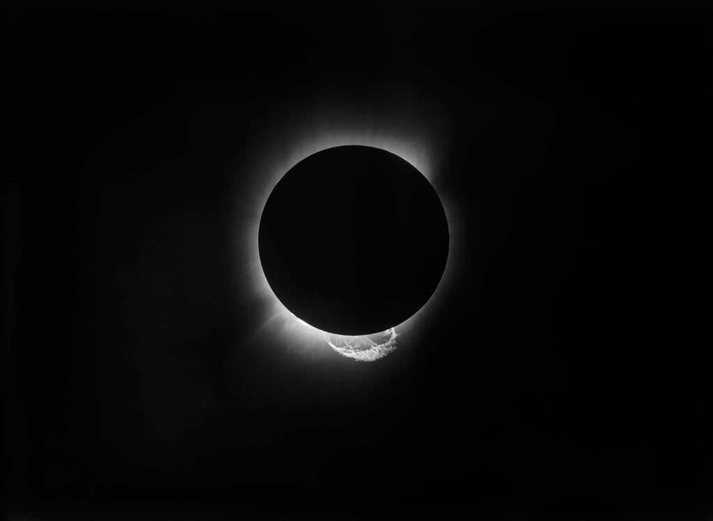 Detail of Solar eclipse, 1919 by Unknown