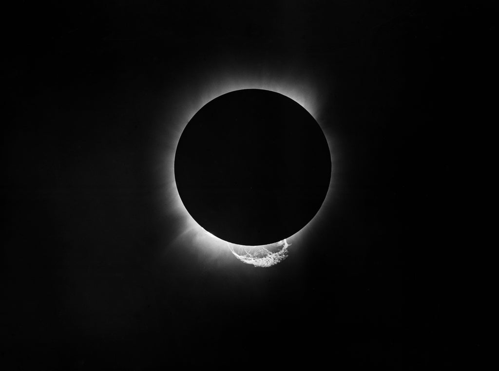 Detail of Solar eclipse, 1919 by Unknown