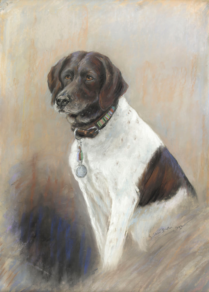 Detail of The dog Judy Pointer, Mascot of HMS 'Grasshopper', prisoner of war with the RAF in Japan by Georgina Shaw Baker