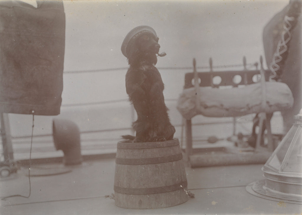 Detail of Phyllis 1st Lieutenant spaniel dog on top of barrel with hat and pipe. From an album relating to the Royal Naval Service of Cdr John Rodolph Peronet Thompson RN. by John Rodolph Peronet Thompson