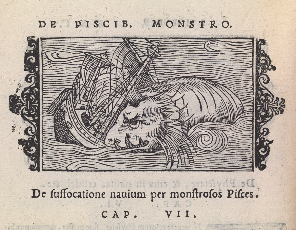 Detail of Historia de Gentribus Septentrionalibus illustration on page 736 by Unknown