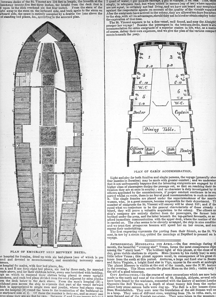 Detail of Plan of emigrant ship and migrants' cabin accommodation by Unknown
