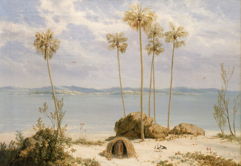Detail of View of Sir Edward Pellew's Group, Northern Territory, December 1802 by William Westall