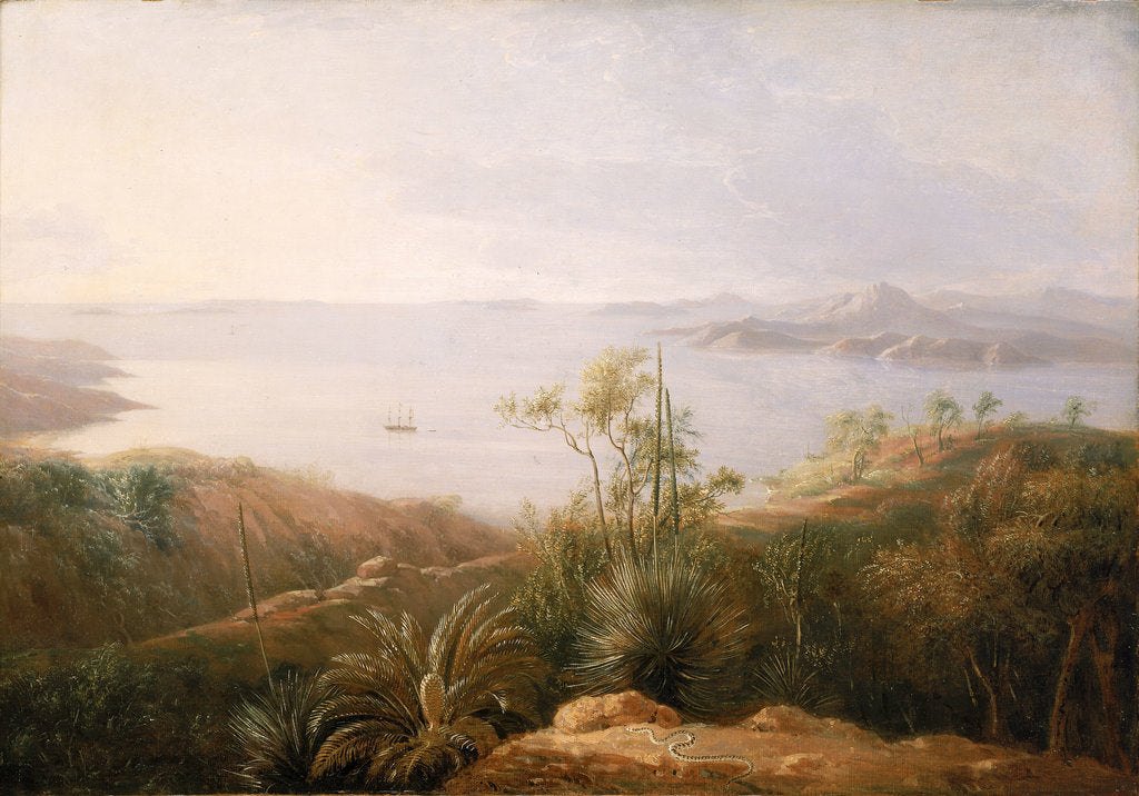 Detail of A bay on the south coast of New Holland, January 1802 by William Westall