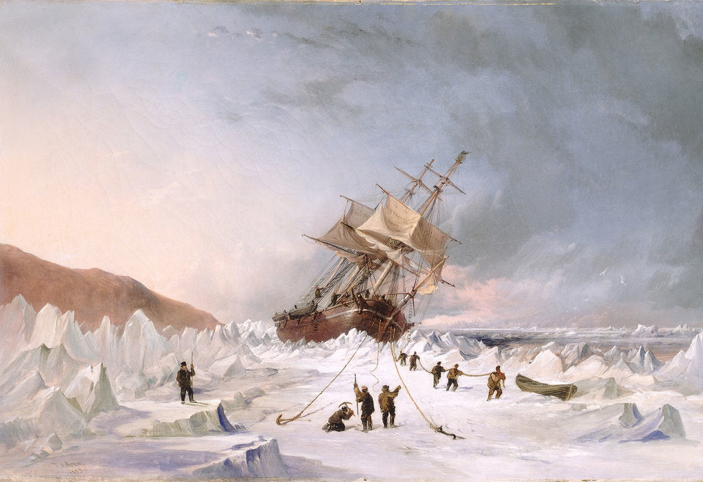 Detail of HMS 'Assistance' in the ice by Thomas Sewell Robins