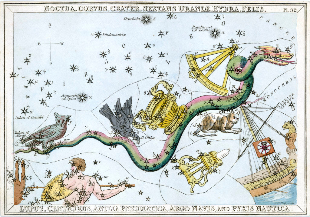 Detail of The constellation Hydra by Unknown